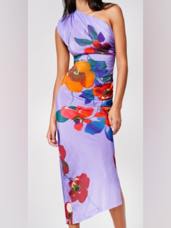 Smythe Dresses & Skirts - BNWOT Smythe Single Shoulder Dress Poppy Print, sz 6